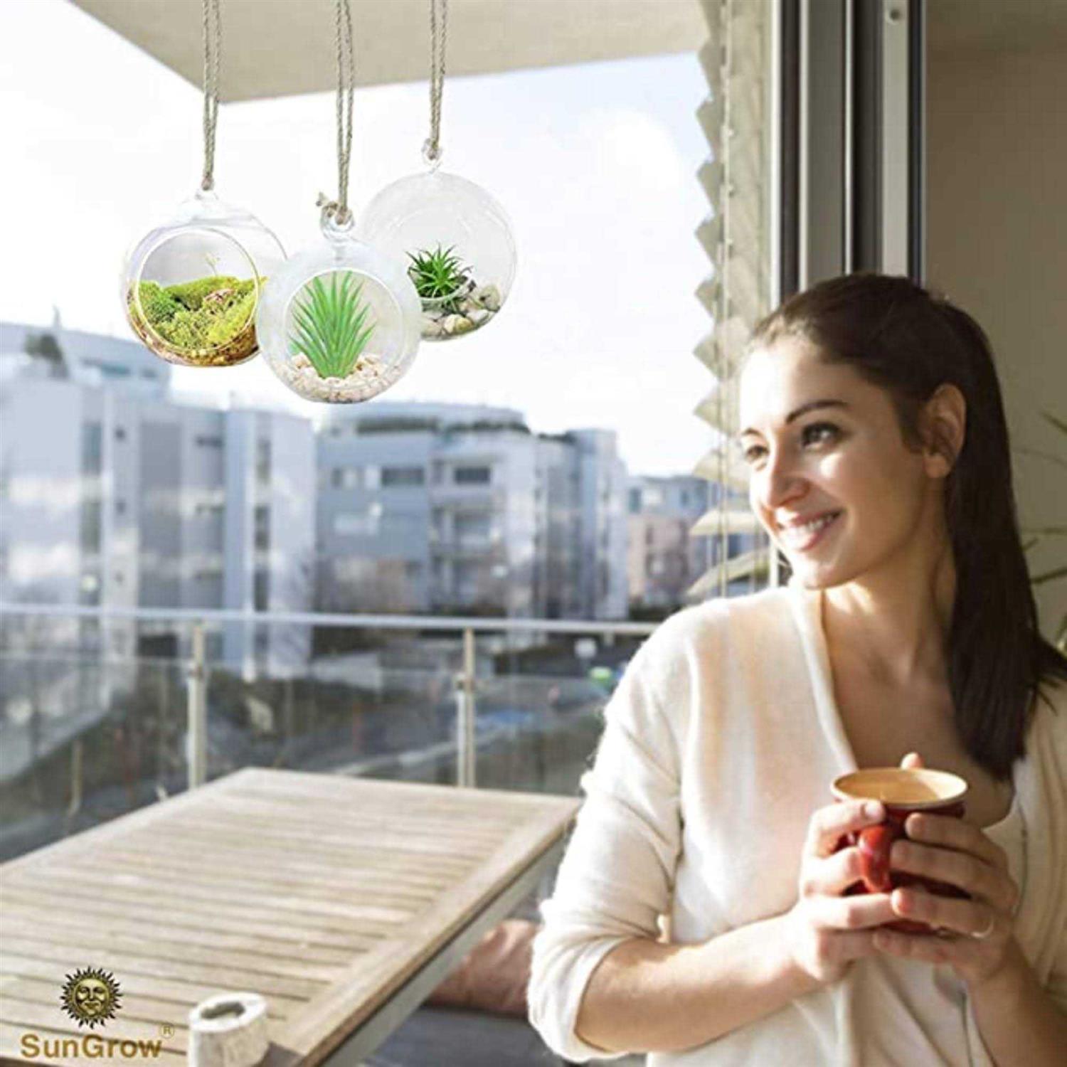 SunGrow 3 Hanging Glass Terrariums by Spherical Air Plant Orb
