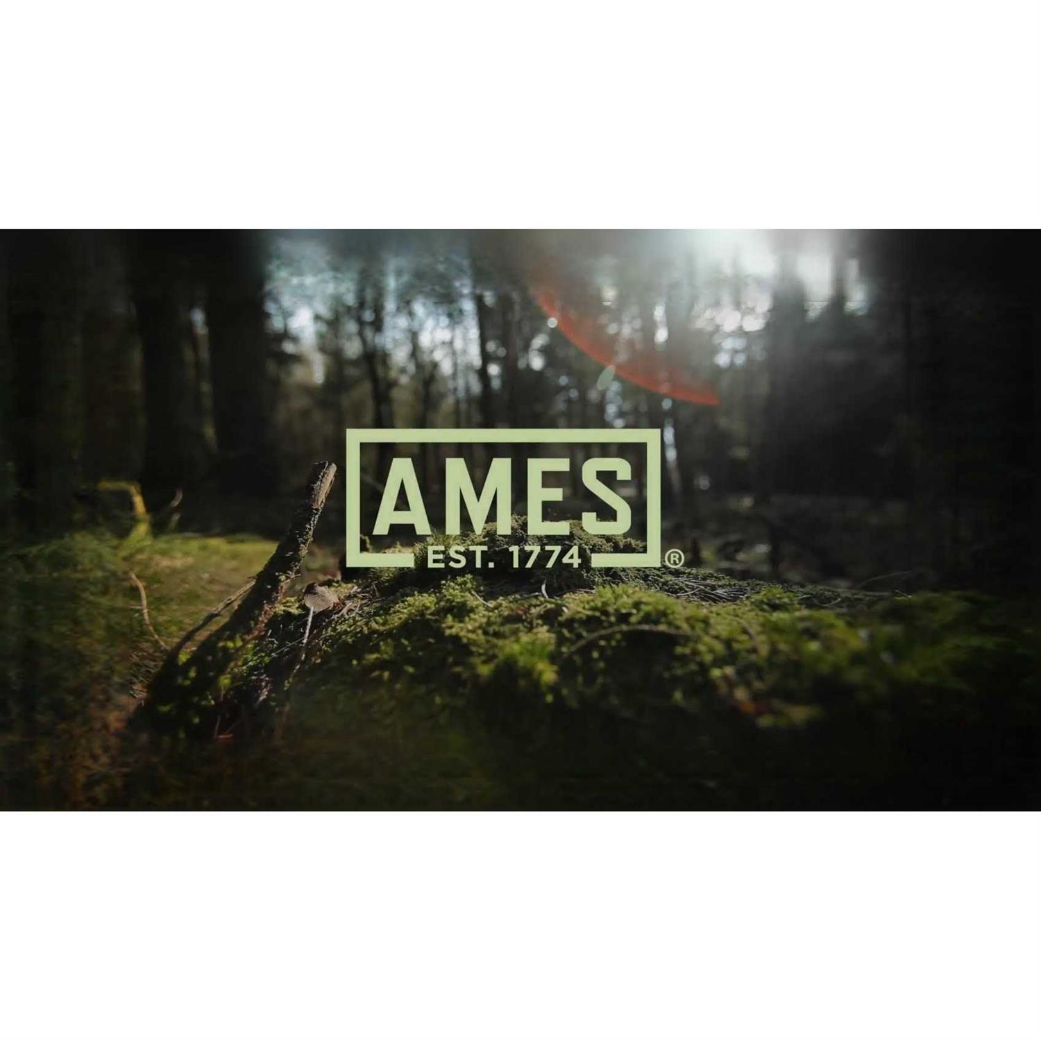 Ames 998270 Dual Tine Poly Leaf Rake with Hand Rake