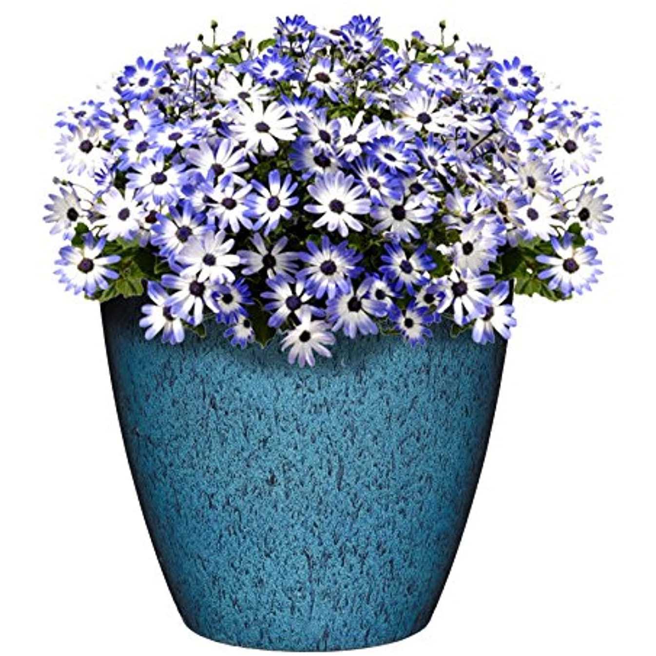 Classic Home and Garden Premiere Collection Planter Vogue 8