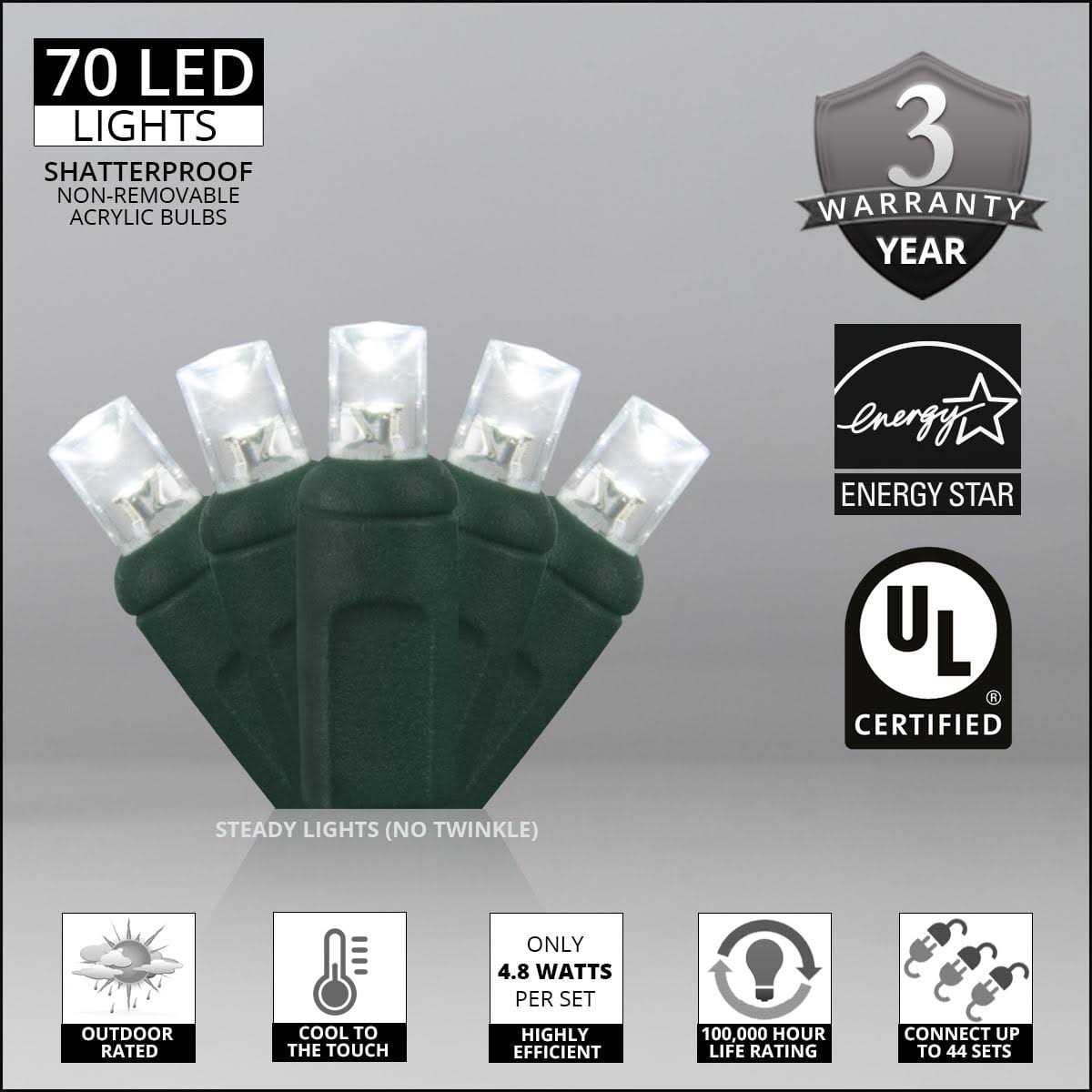 Wintergreen Lighting 70 Christmas LED Lights