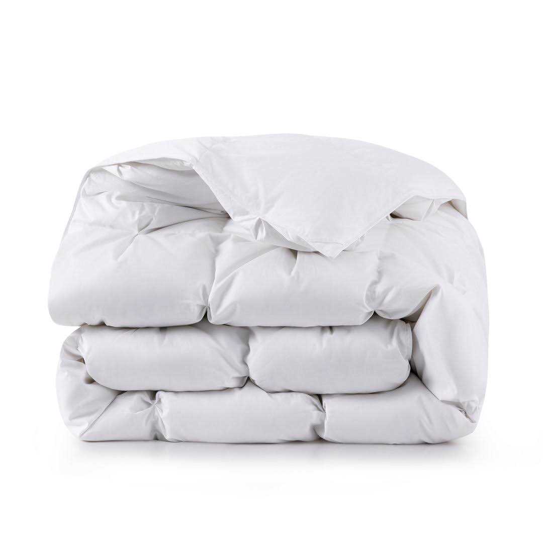 Alwyn Home 800 Fill Power Winter Goose Down Comforter