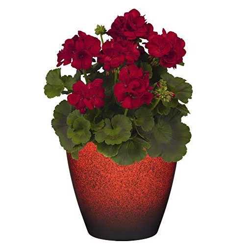 Classic Home and Garden Premiere Collection Planter Vogue 8