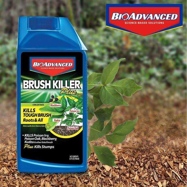 BioAdvanced Brush Killer Plus Concentrate