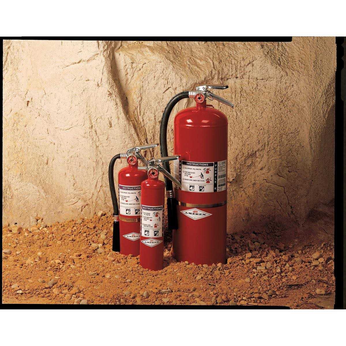 Amerex B410T Fire Extinguisher