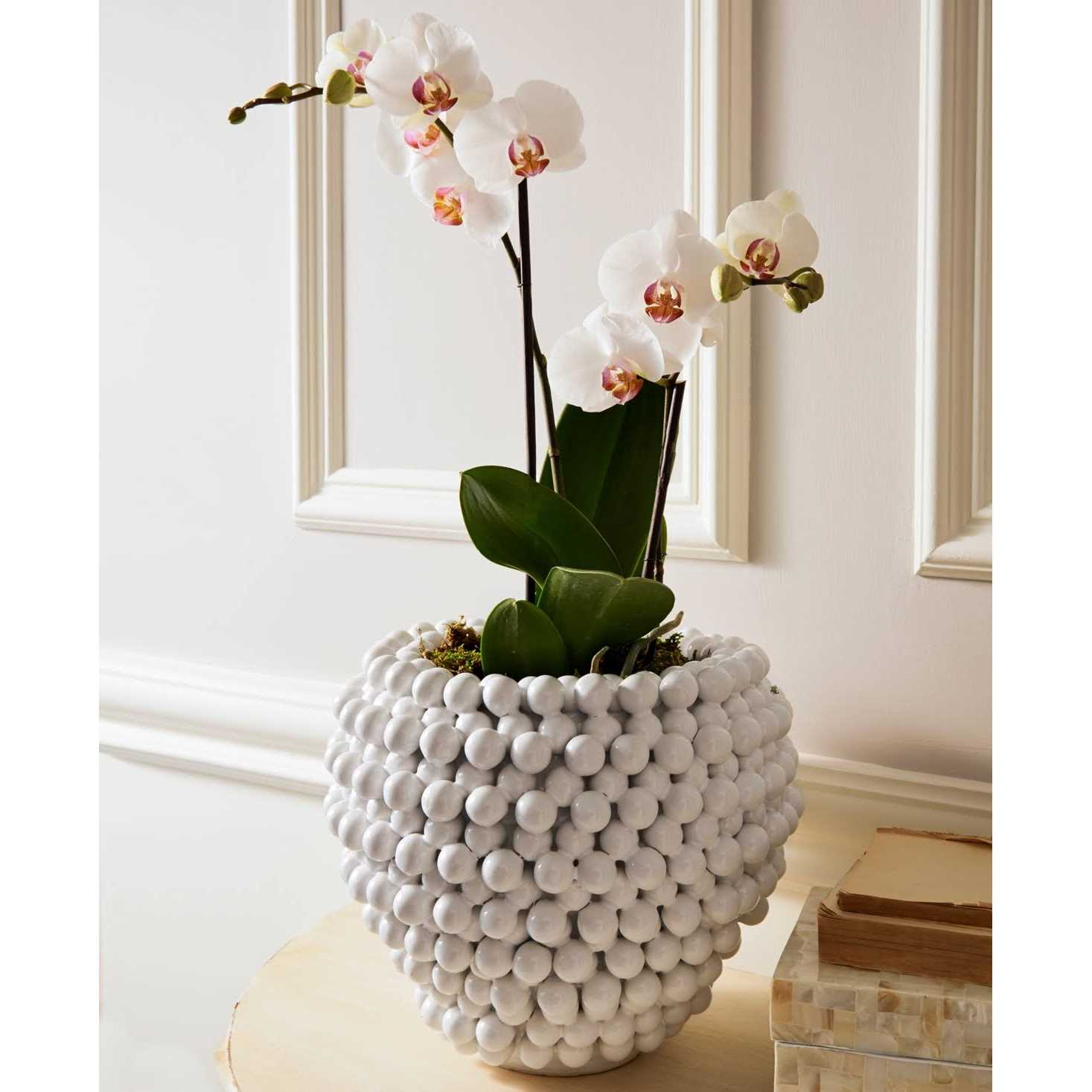 Tozai Home Pompon Vase/Planter
