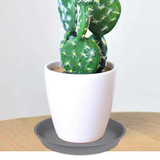 Angde 6 Pack Plant Saucer Plant Round