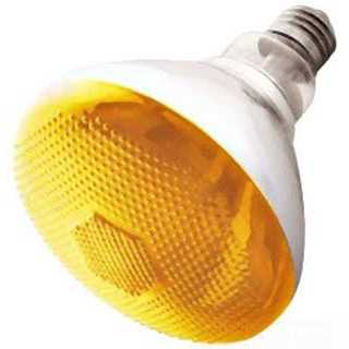 Westinghouse Light Bulb 0441100