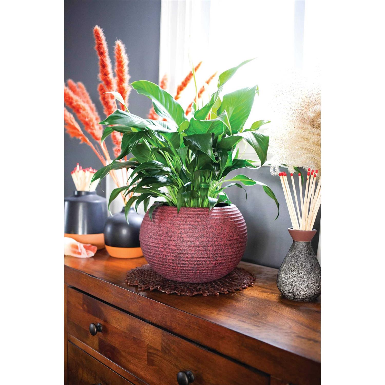 The HC Companies Atlas Sphere Planter Lightweight Decorative Round Indoor Outdoor Plastic Plant Pot for Herbs and Flowers