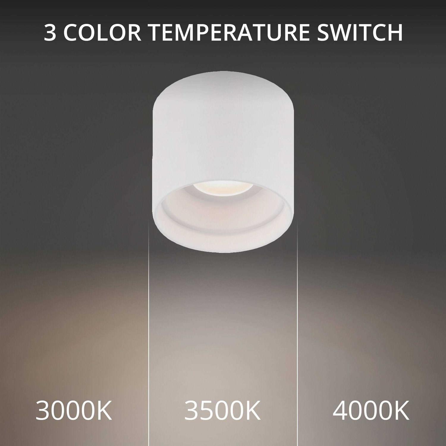 WAC Lighting Downtown LED Outdoor Flush Mount FM-W47205