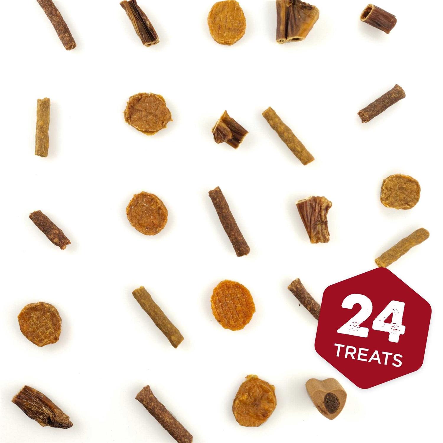 Best Bully Sticks 2023 Dog Advent Calendar with Dog Treats 24 Days