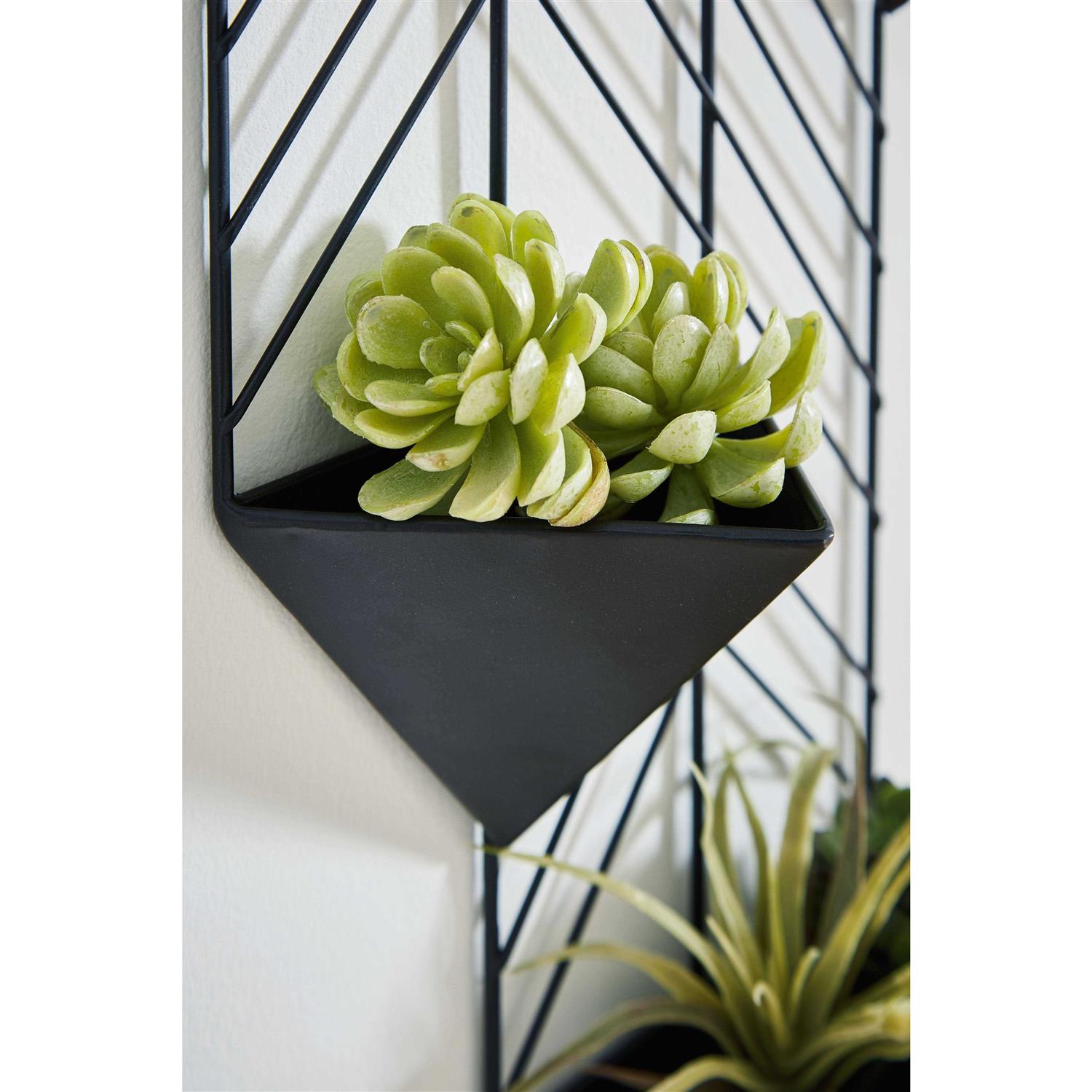 Ashley Dashney Wall Planter