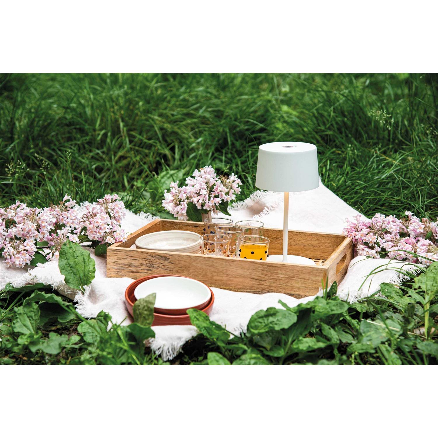 Zafferano Olivia pro Mini Rechargeable led table lamp