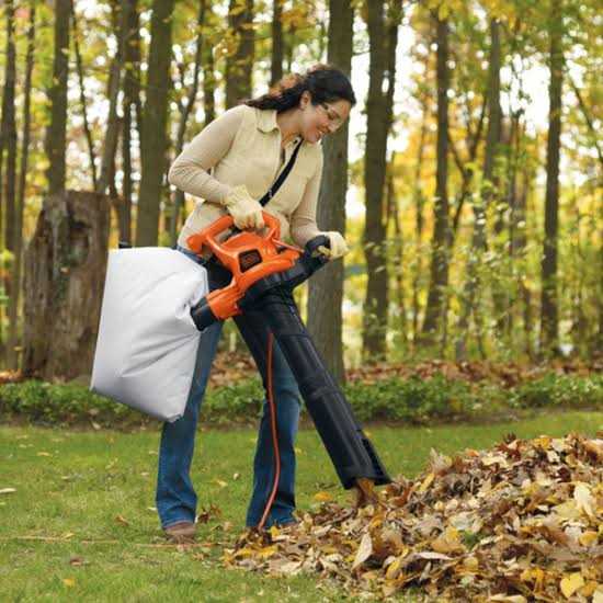 Black & Decker BV3600