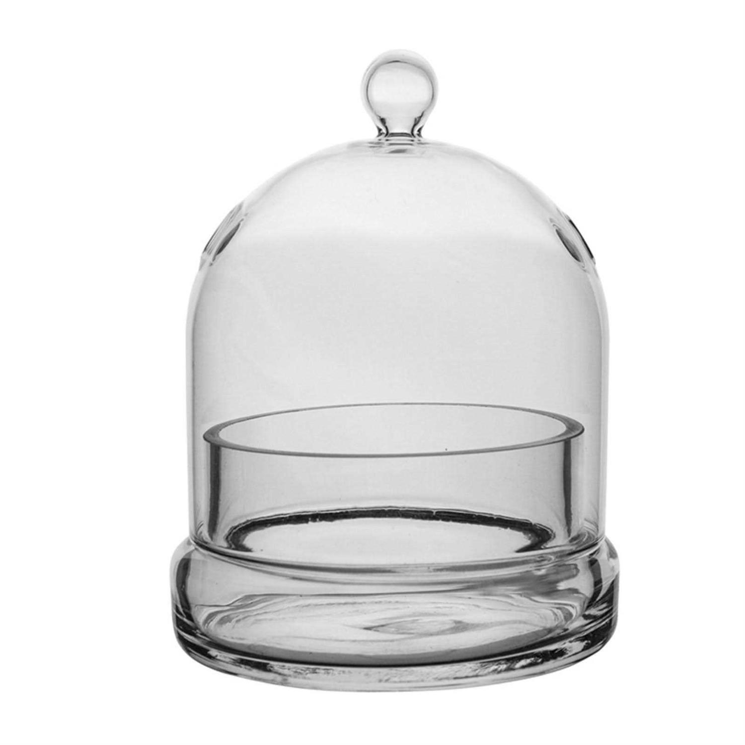 Syndicate Home Garden 6 Cloche Terrarium