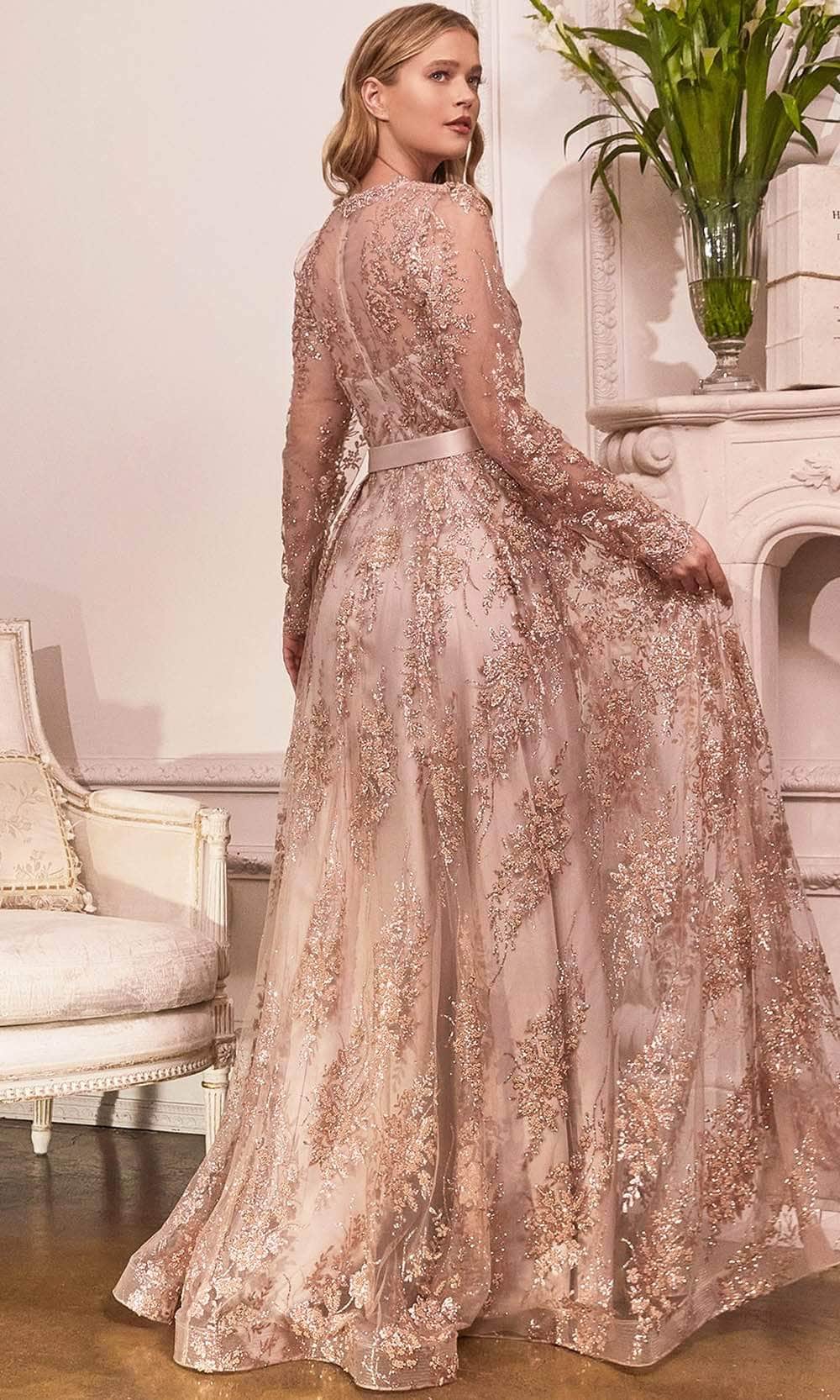 Embellished Long Sleeve V-neck Gown