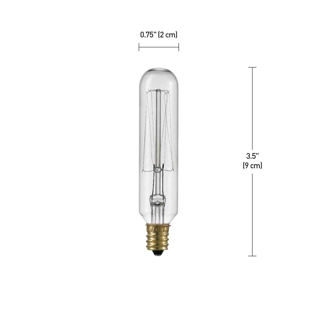 Birch Lane™ Marshall 40 Watt T6 Incandescent Dimmable Light Bulb 5BF036053A424A03A3A354087ECE162A