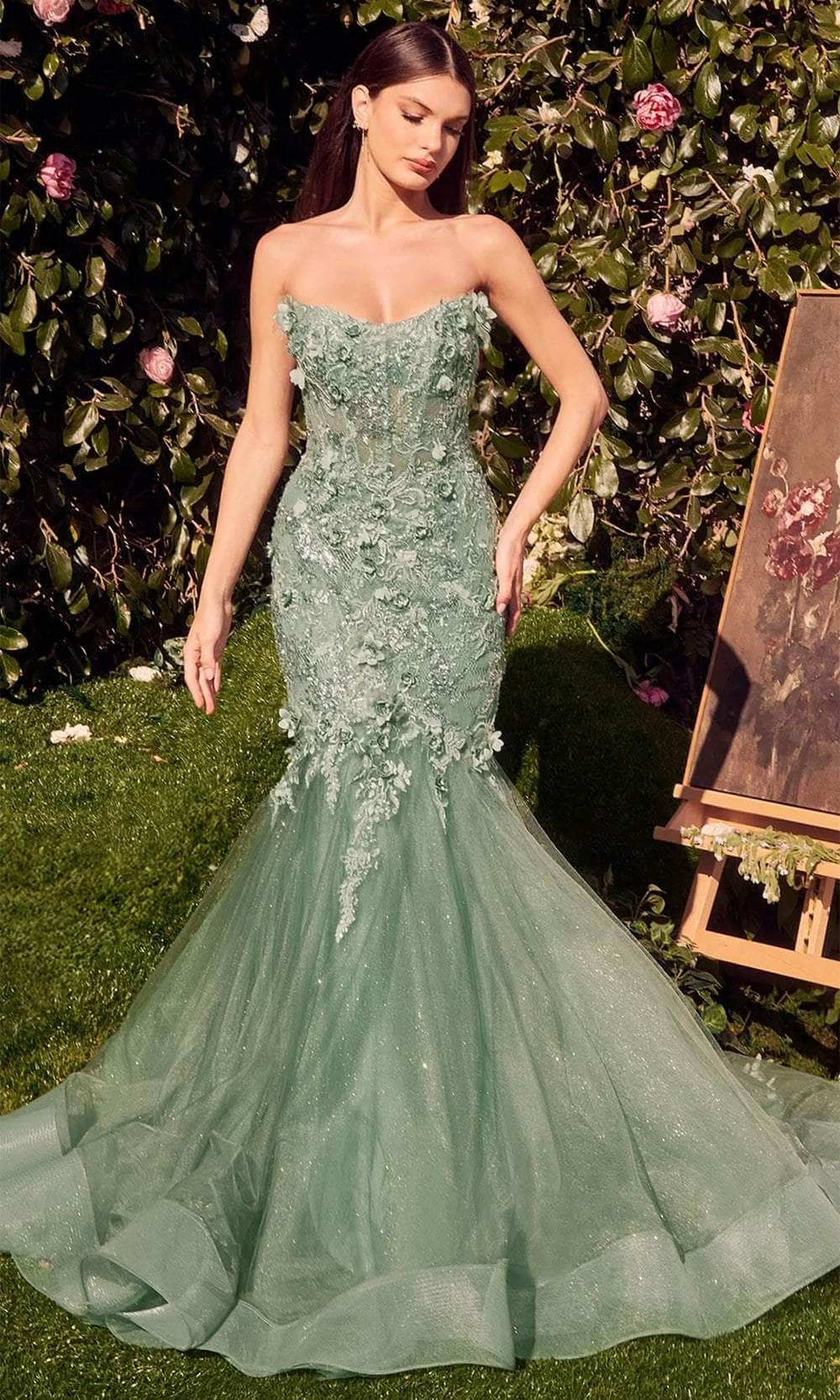 Appliqued Mermaid Evening Gown