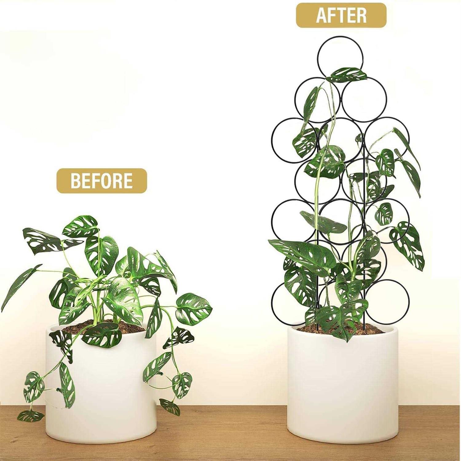 4 Pack Metal Small Trellis for House Indoor Climbing Potted Plants