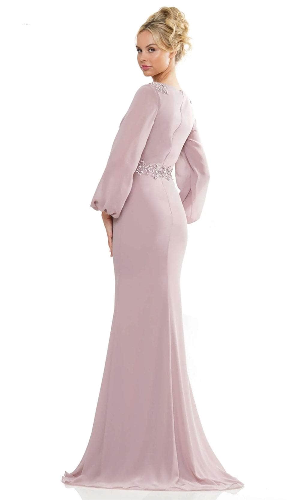 Bishop Sleeve Evening Dress