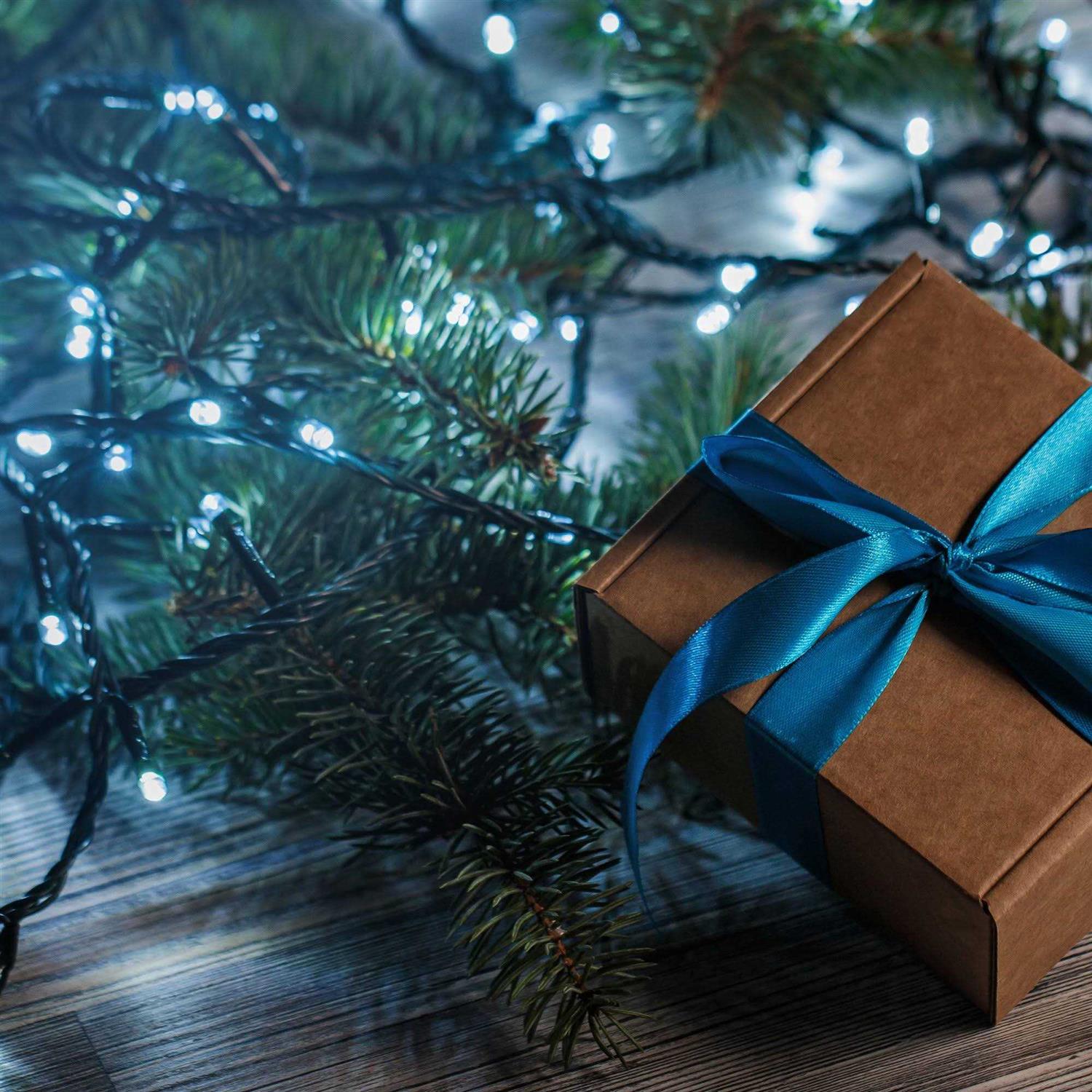 Battery Operated LED Mini String Lights LumaBase