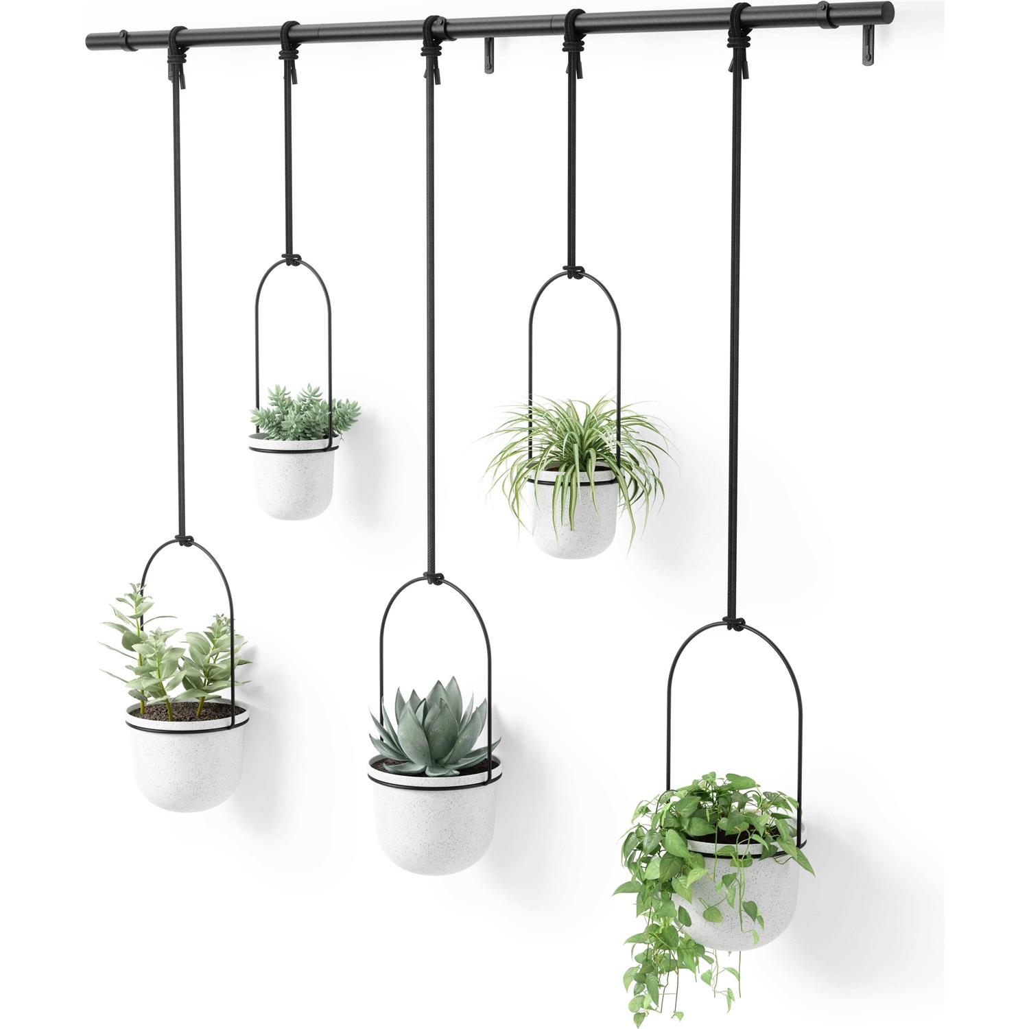 Umbra Triflora Hanging Planter