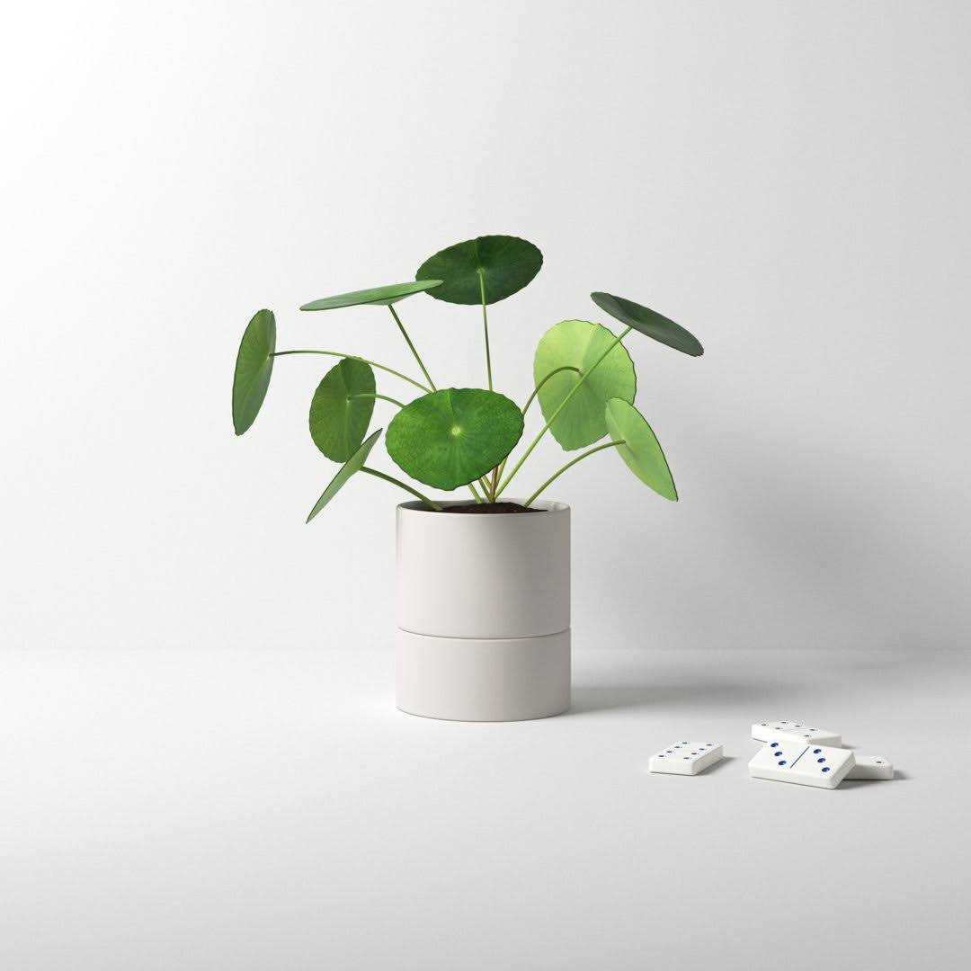 AllModern Patti Self-Watering Ceramic Pot Planter