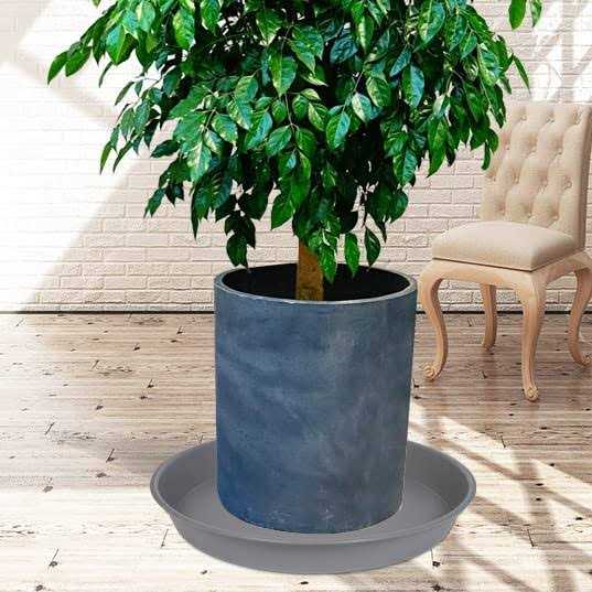 Angde 6 Pack Plant Saucer Plant Round