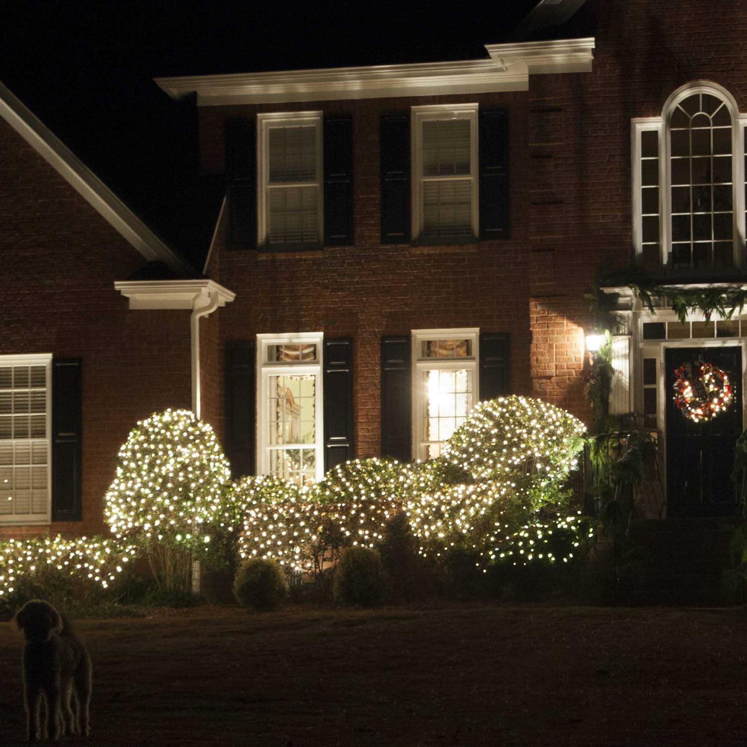 4′ x 6′ Christmas Net Lights