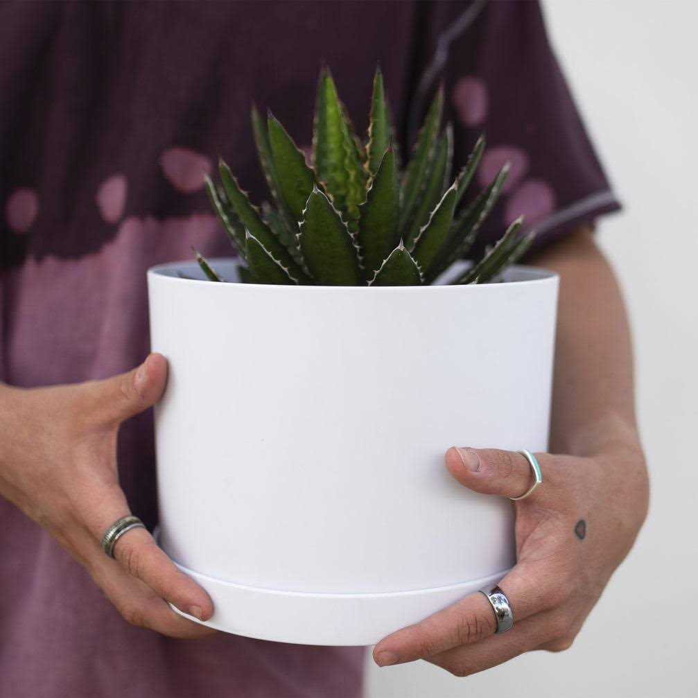 Bloem Mathers Plastic Planter Saucer Tray