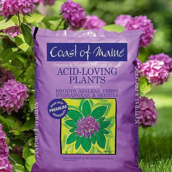 Coast of Maine Acid-Loving Plants Soil