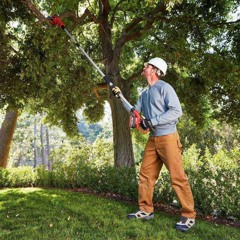 Bauer 20V Cordless Pole Saw