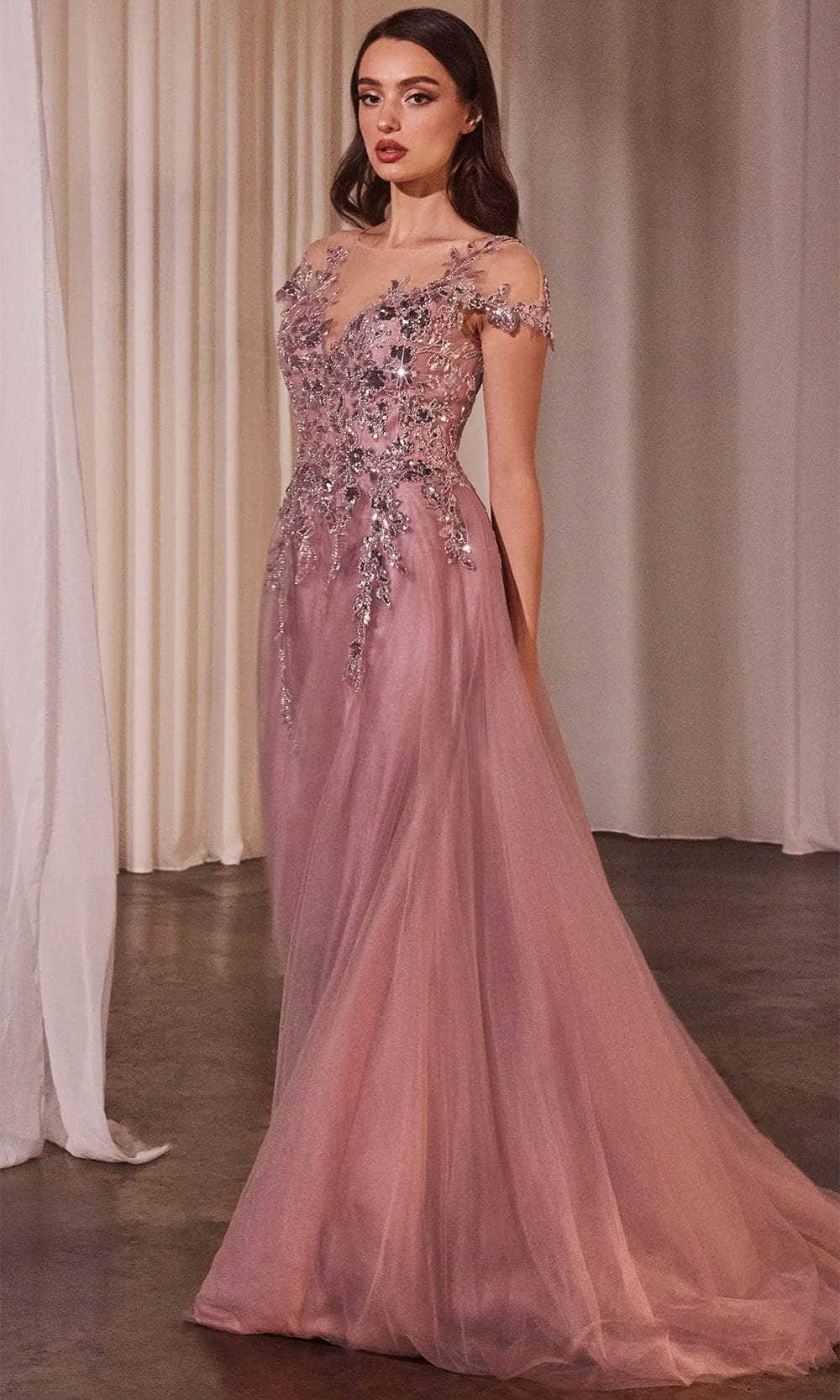 Sequin Applique Long Gown