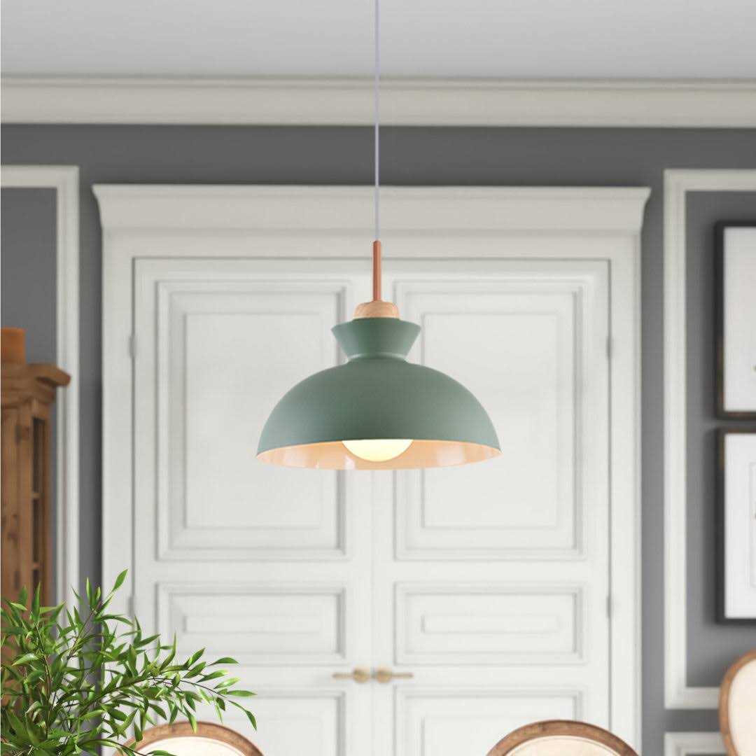 Zipcode Design™ Brashear 1 Light Single Dome Pendant Shade