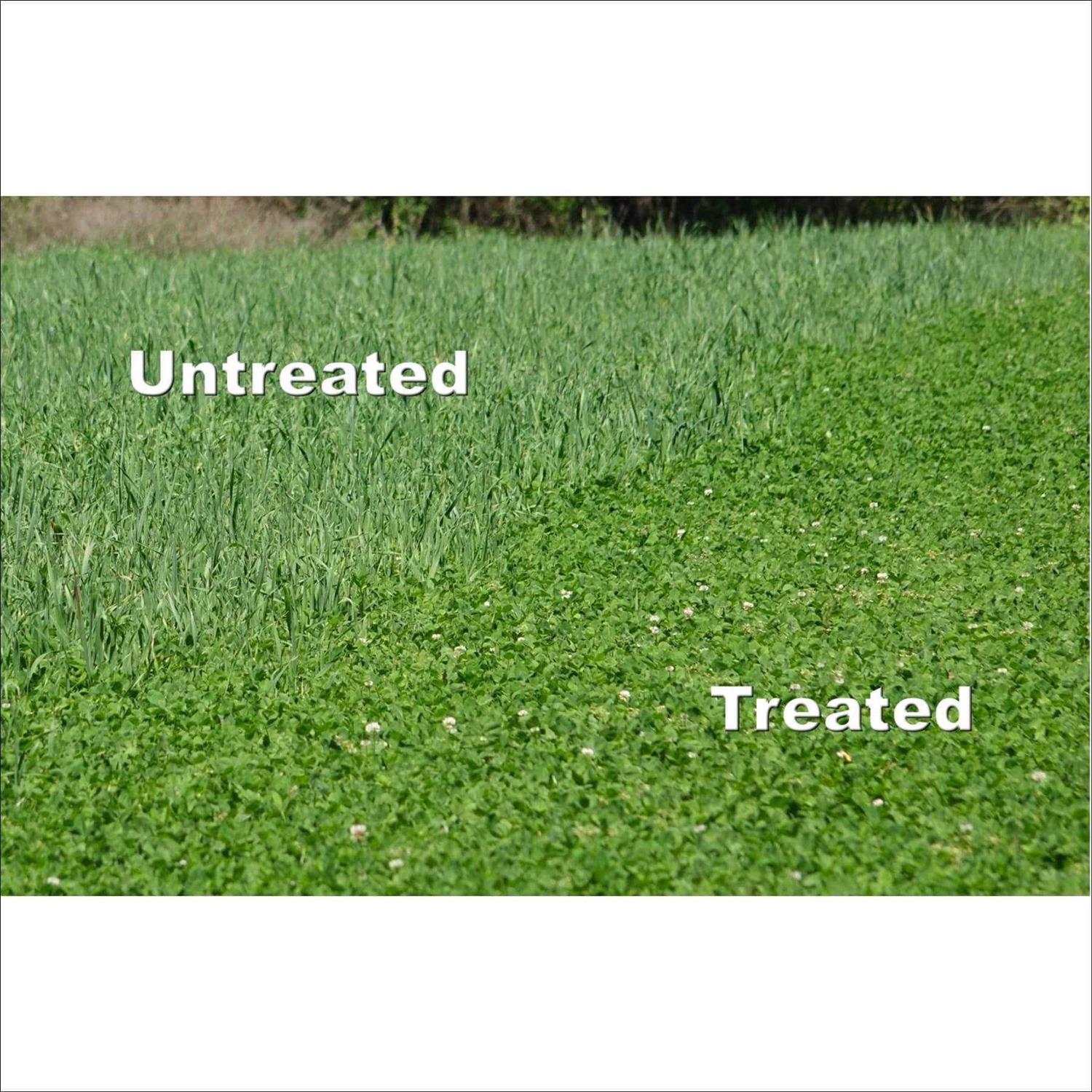 Whitetail Institute Arrest Max Herbicide