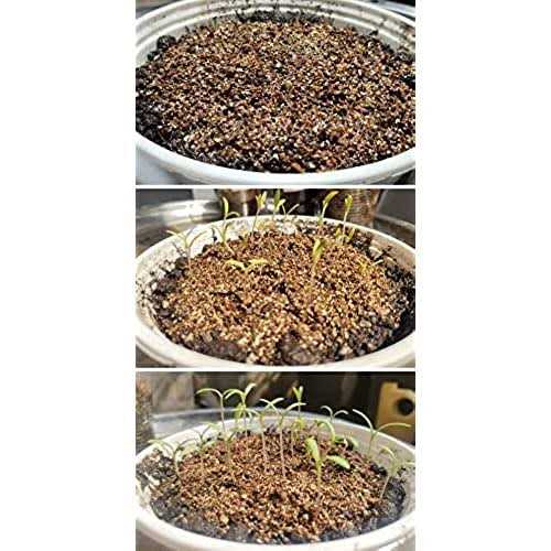 Voulosimi Organic Vermiculite granules for Plants and gardening