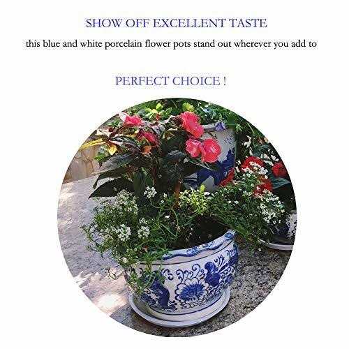 Blue and White Porcelain Hakkagirl Flower Pots