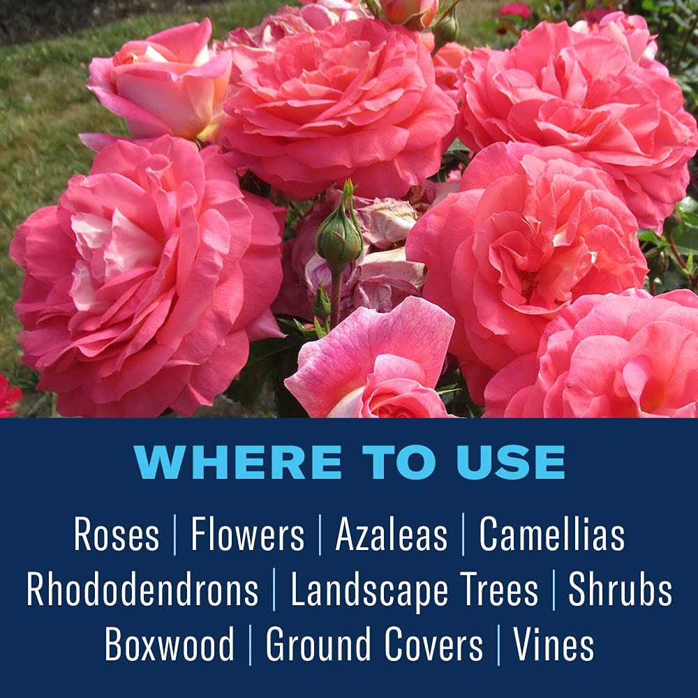 BioAdvanced Disease Control for Roses, Flowers and Shrubs