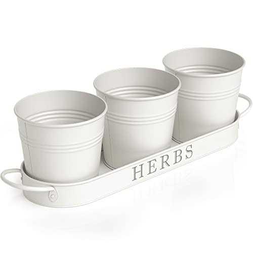 Barnyard Designs Herb Planter Set with Tray Indoor Garden or Outdoor