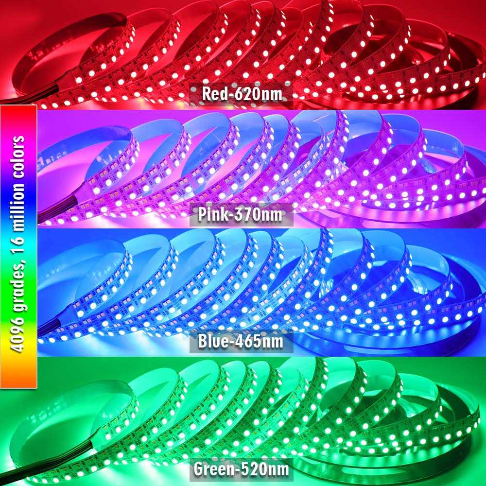 SuperlightingLED brightest rgb+cct flexible led strip lights 270leds/meter 5050 rgb + 2835 warm white daylight white double row super bright r