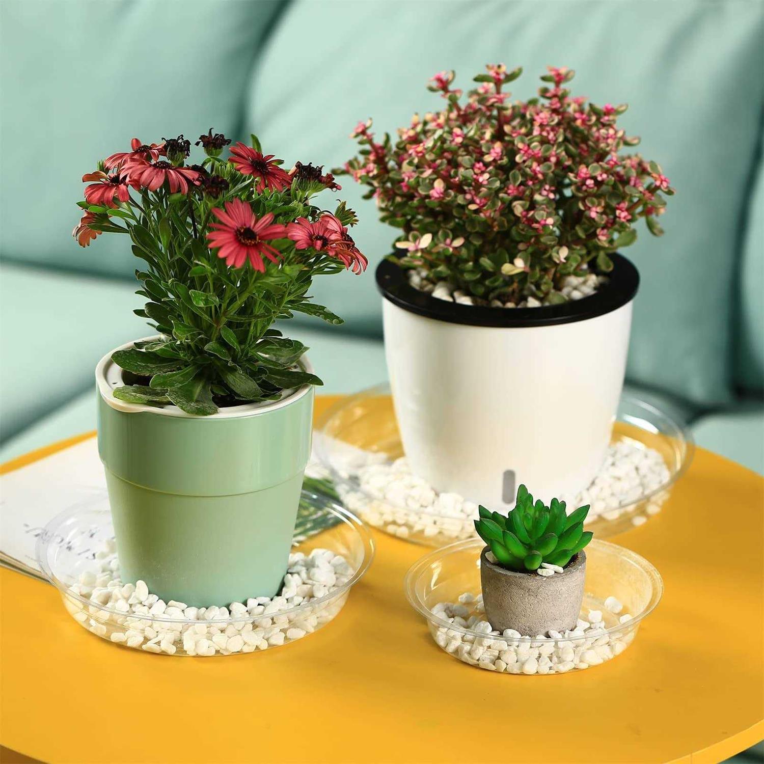 20 Pack Clear Plastic Plant Saucers 6 inch Drip Trays Plant Plat