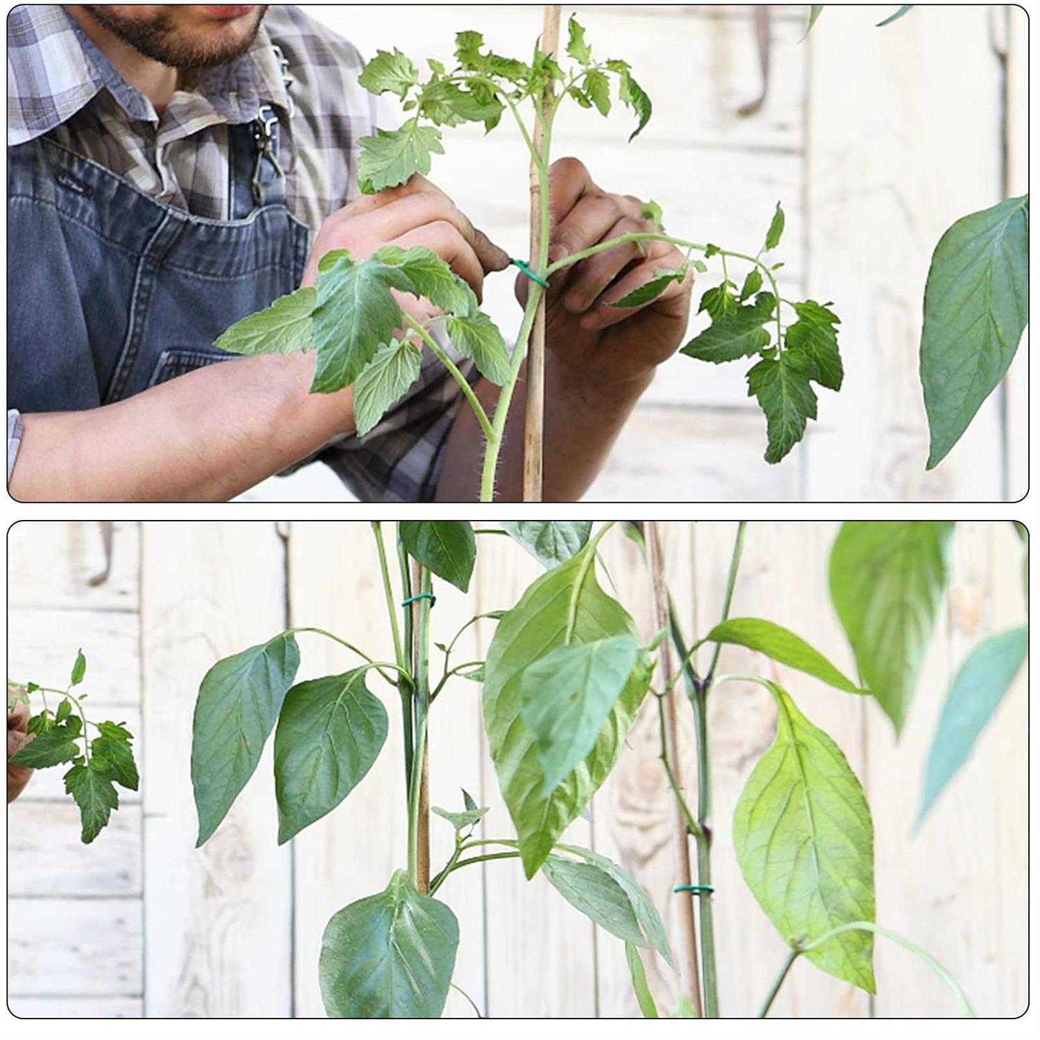 YDSL Soft Tie, Green Twist Garden Ties for Plants