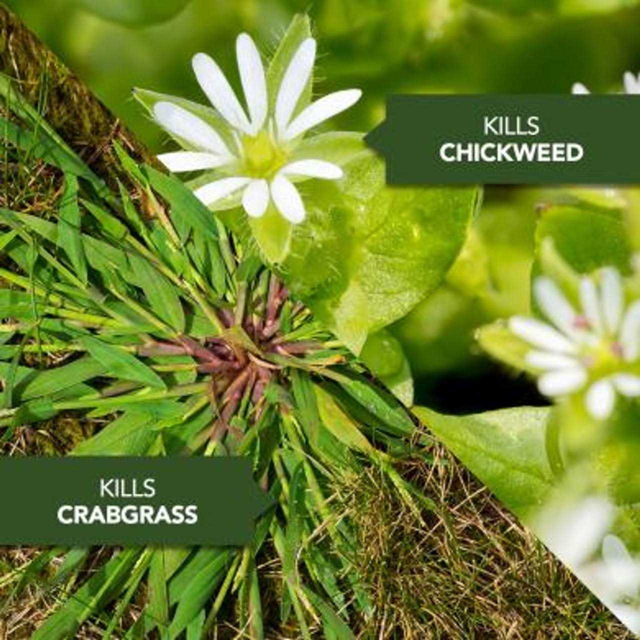 BioAdvanced All-In-One Lawn Weed & Crabgrass Killer