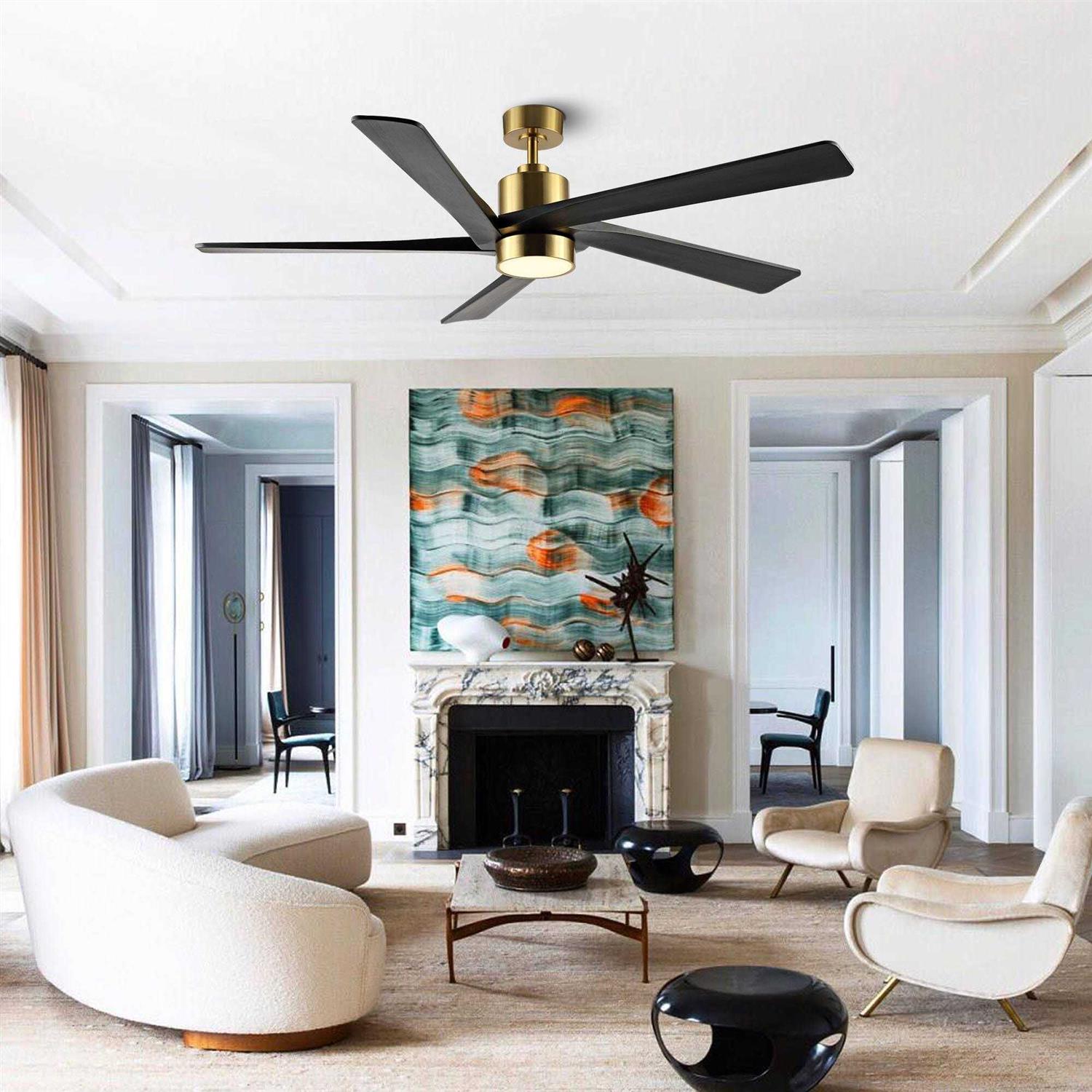 WINGBO DC Ceiling Fan with Lights and Remote Control