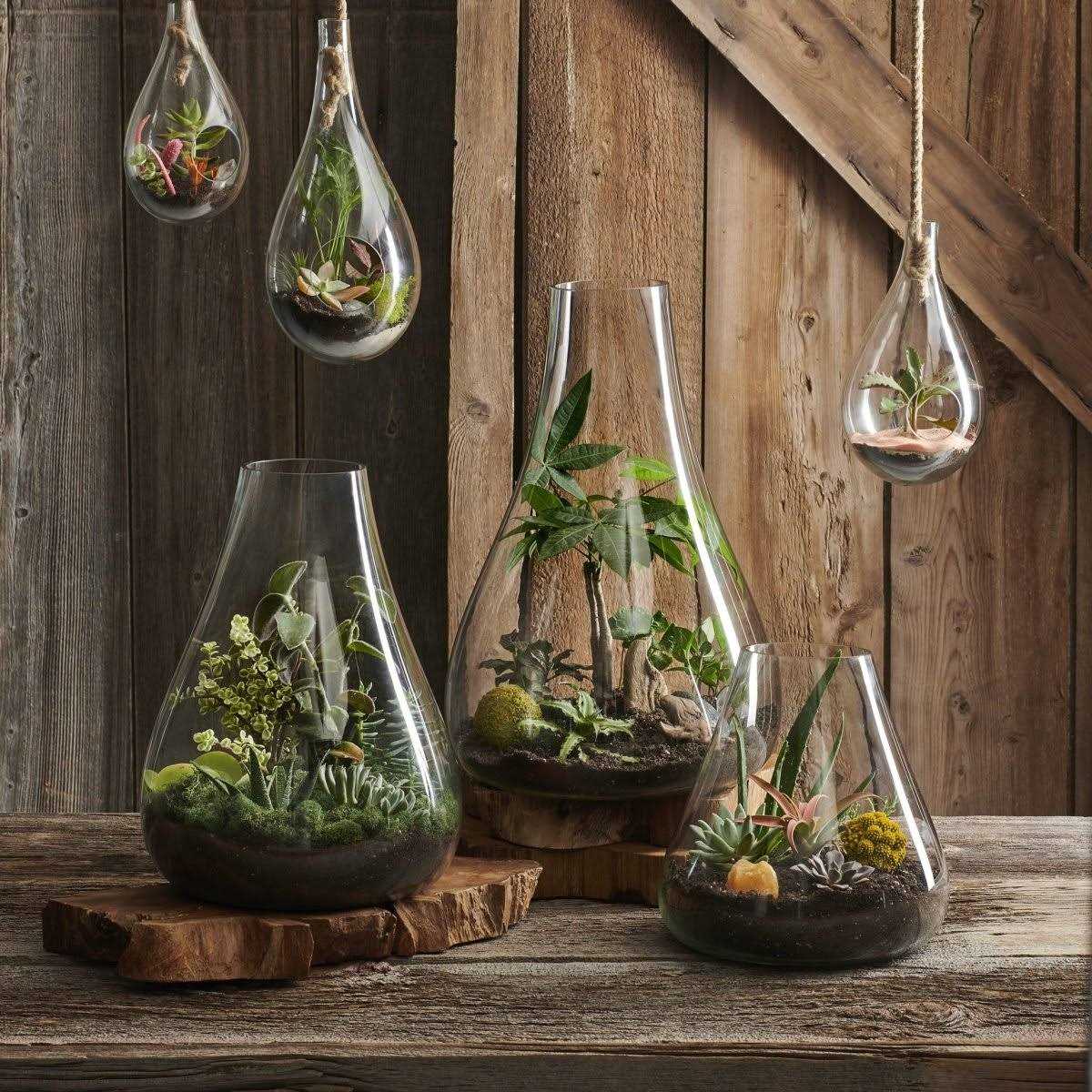 texxture Boboli Glass Terrarium