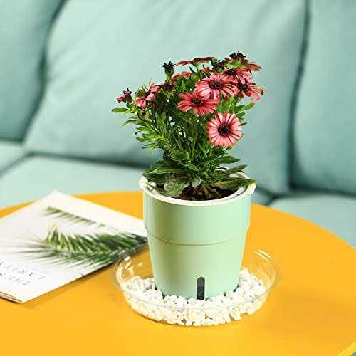 20 Pack Clear Plastic Plant Saucers 6 inch Drip Trays Plant Plat