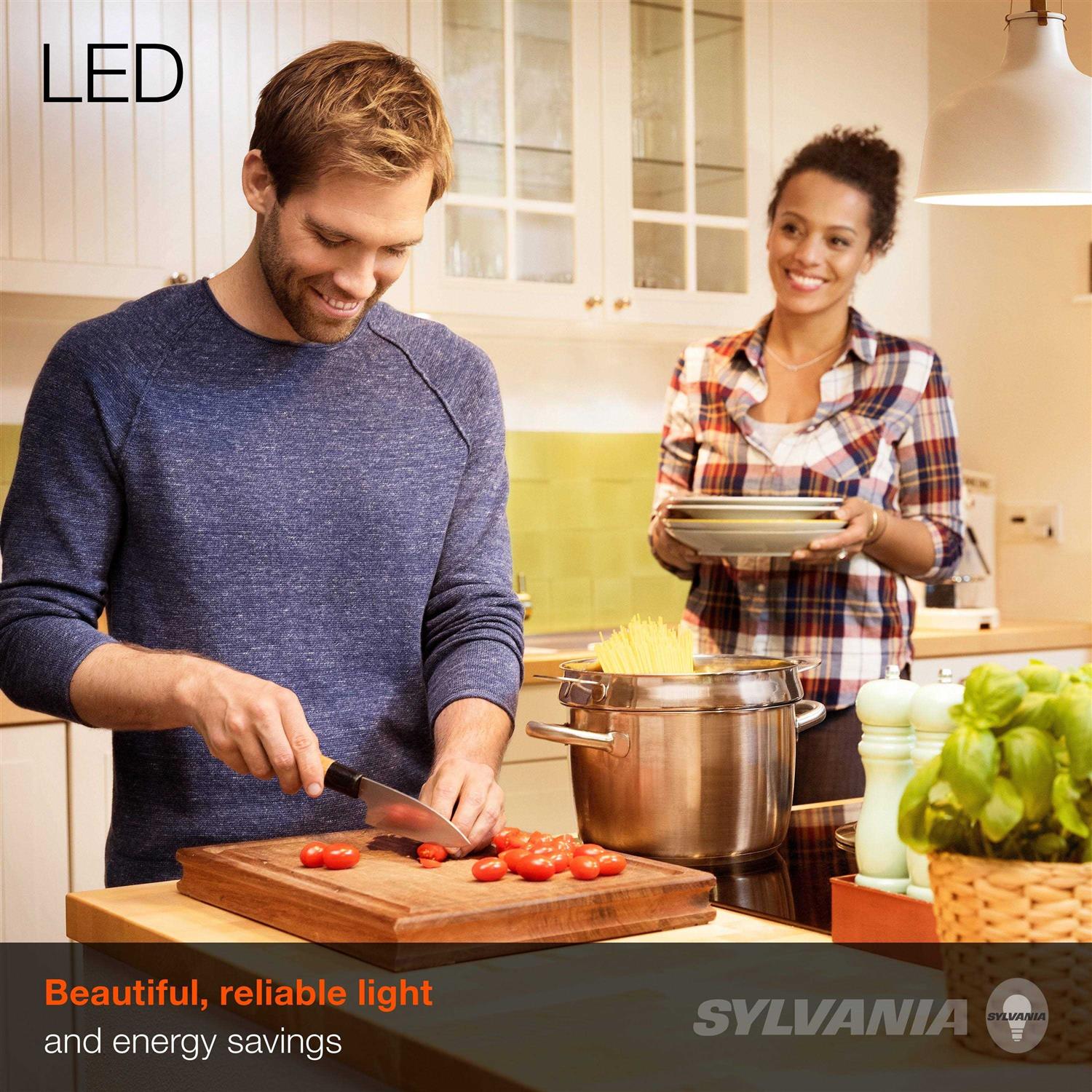Sylvania ECO LED A19 Light Bulb