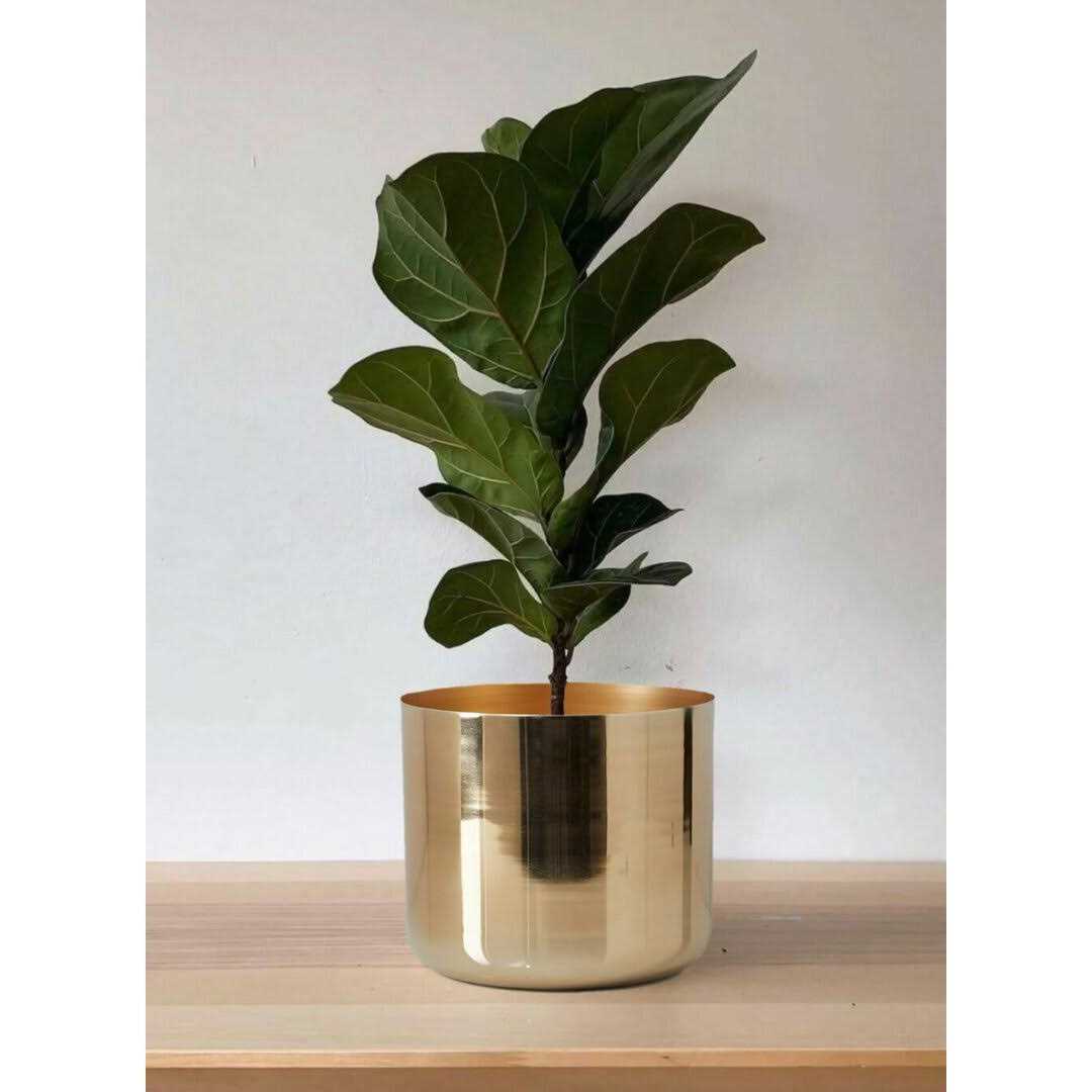 Cachepot Serene Spaces Living