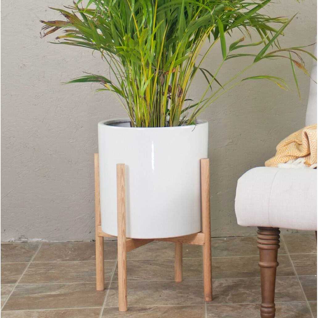 Birch Lane™ Bunkerville Ceramic Pot Planter