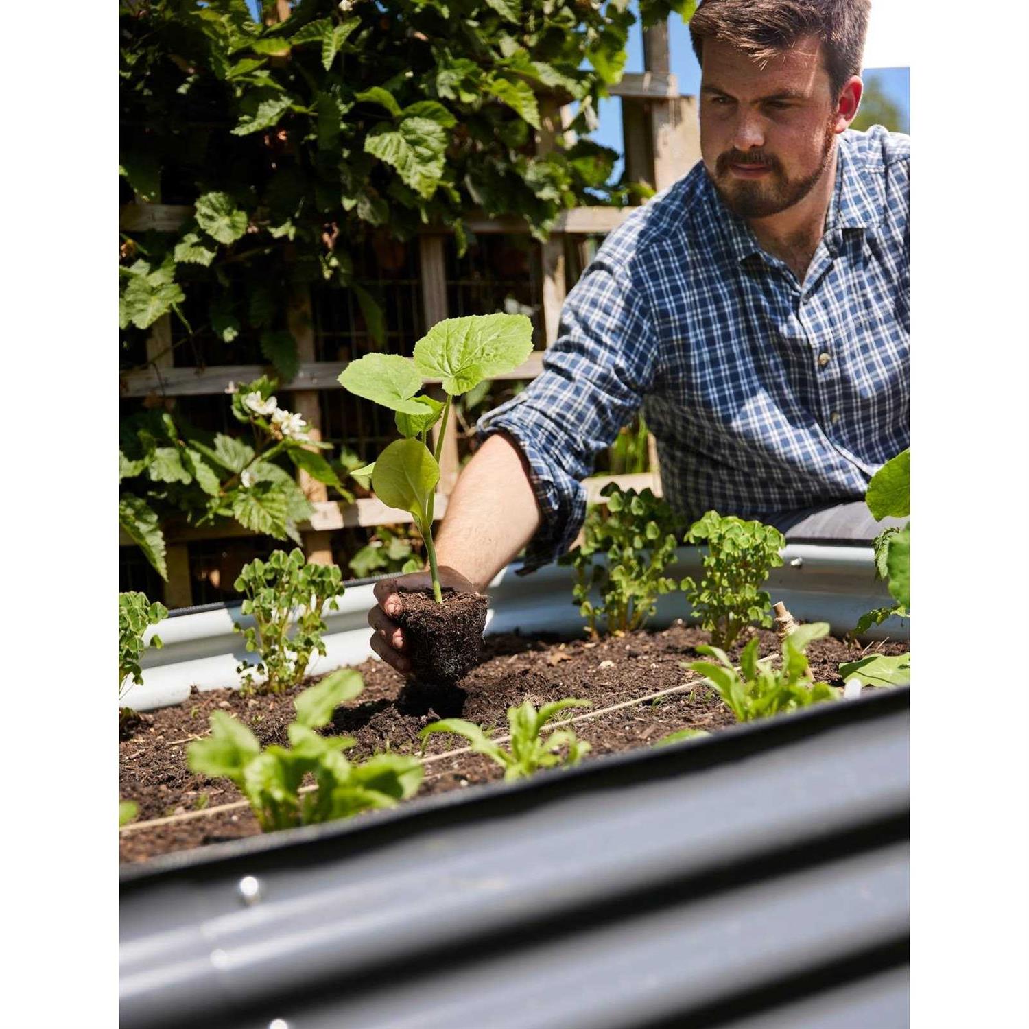 Vego Garden 17 Tall 9 In 1 Modular Metal Raised Garden Bed Kit