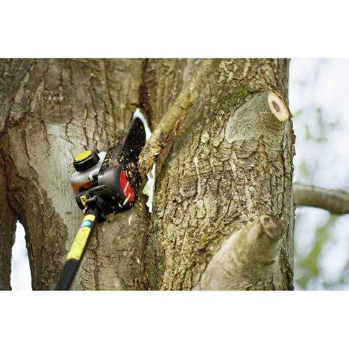 Troy-Bilt Gas Pole Saw